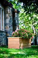 Teak Planter/Tree Box - 48x20x20